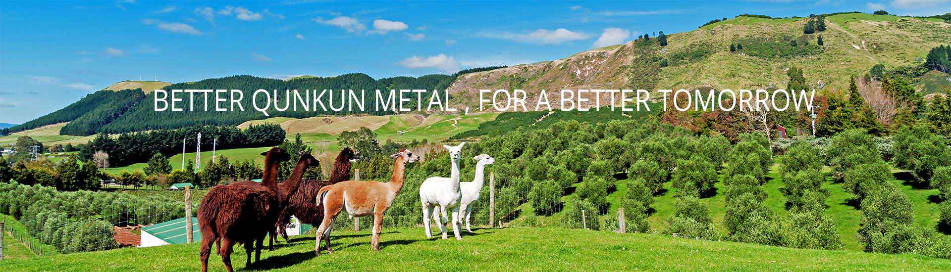Hebei Qunkun Metal Products Co.,ltd